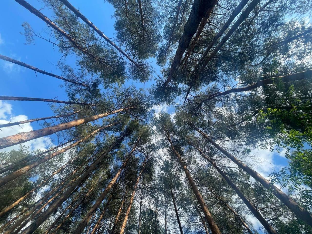 Ethno Complex Ukrayinske Selo Hotel Buzovaya Bagian luar foto
