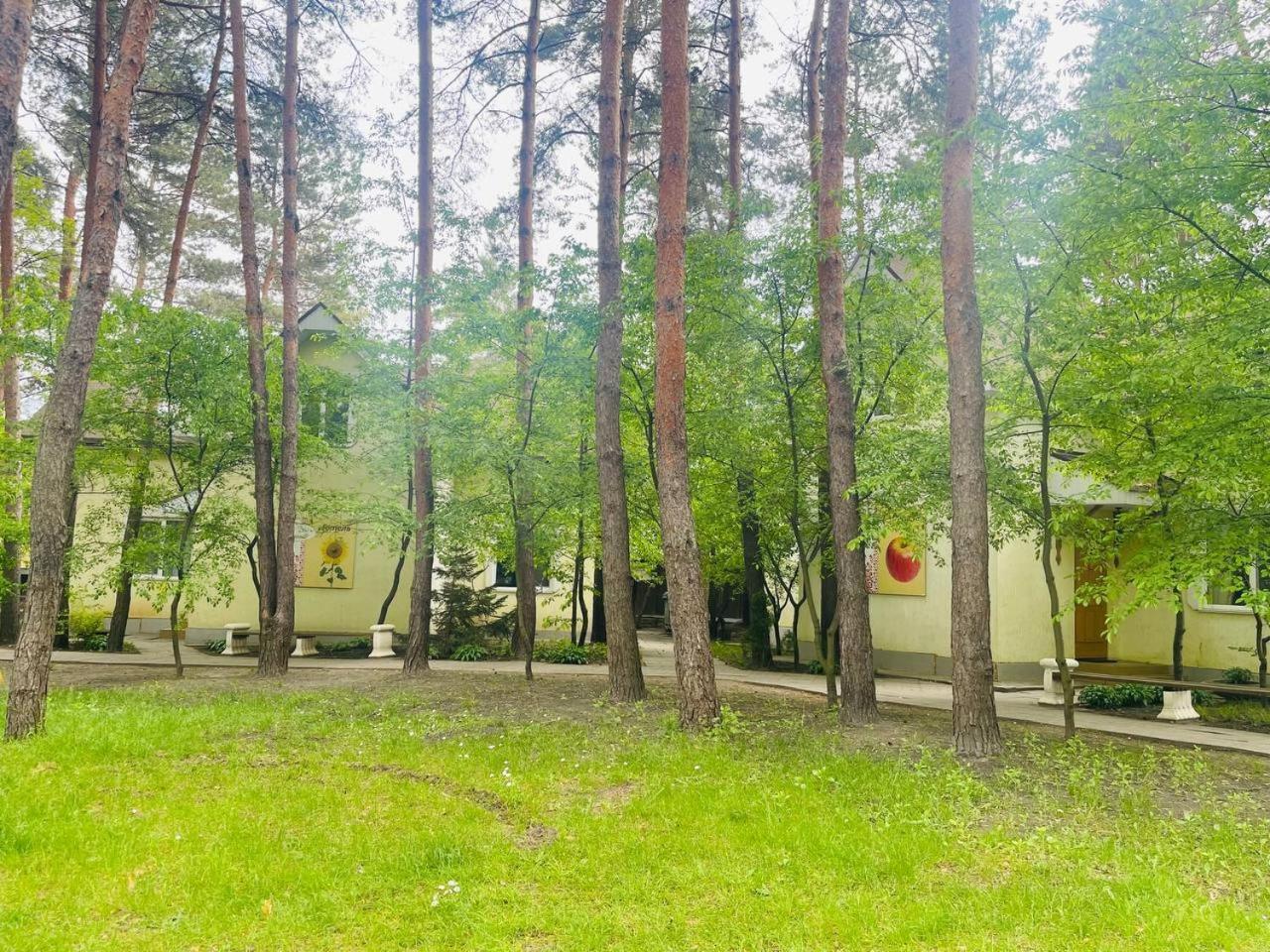 Ethno Complex Ukrayinske Selo Hotel Buzovaya Bagian luar foto